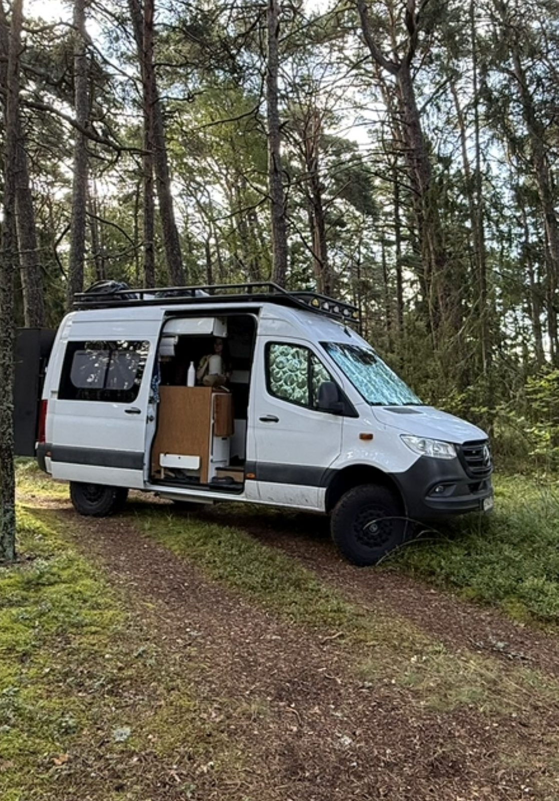 Mercedes Sprinter 4x4 camper parked in a pine forest with the sliding door open, showing the interior
